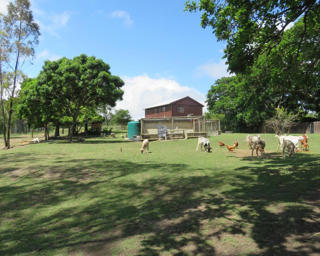 Layitemeni Misty View Farm Stay מראה חיצוני תמונה