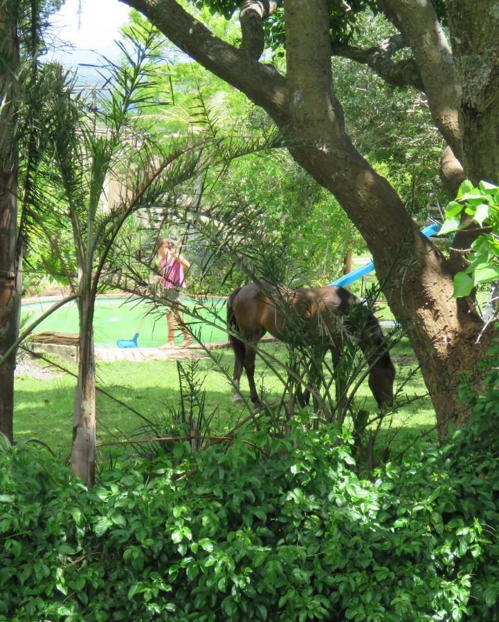 Layitemeni Misty View Farm Stay מראה חיצוני תמונה