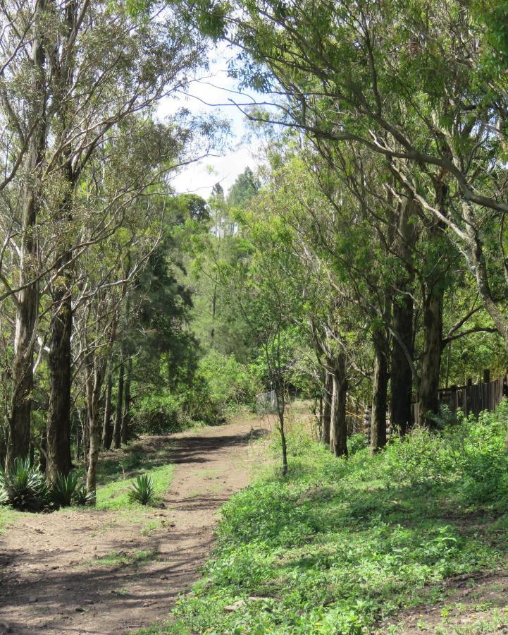 Layitemeni Misty View Farm Stay מראה חיצוני תמונה